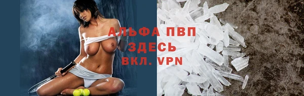 гидра Алексин