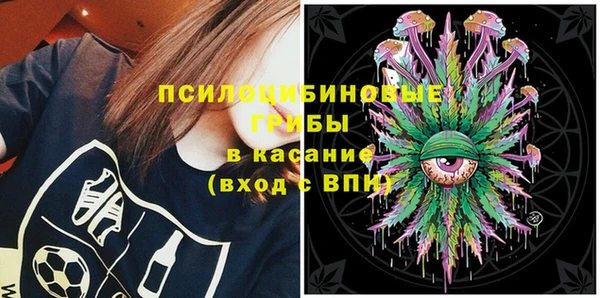 гидра Алексин