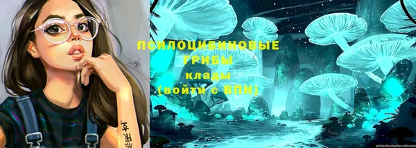 MESCALINE Алзамай