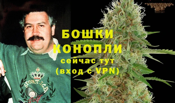 MESCALINE Алзамай