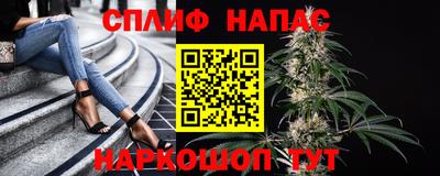 СК Балашиха