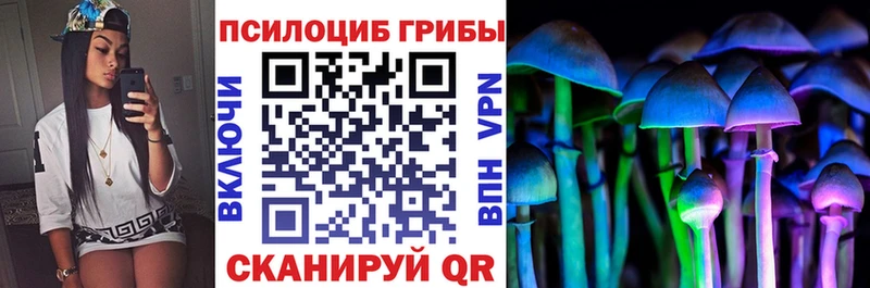 Галлюциногенные грибы MAGIC MUSHROOMS  где продают   Аргун 