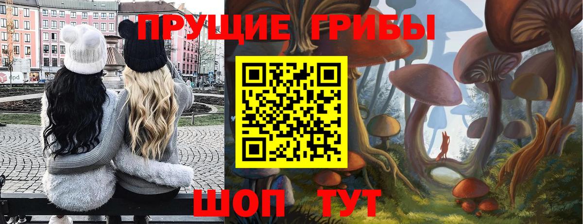 Галлюциногенные грибы Psilocybe Аргун