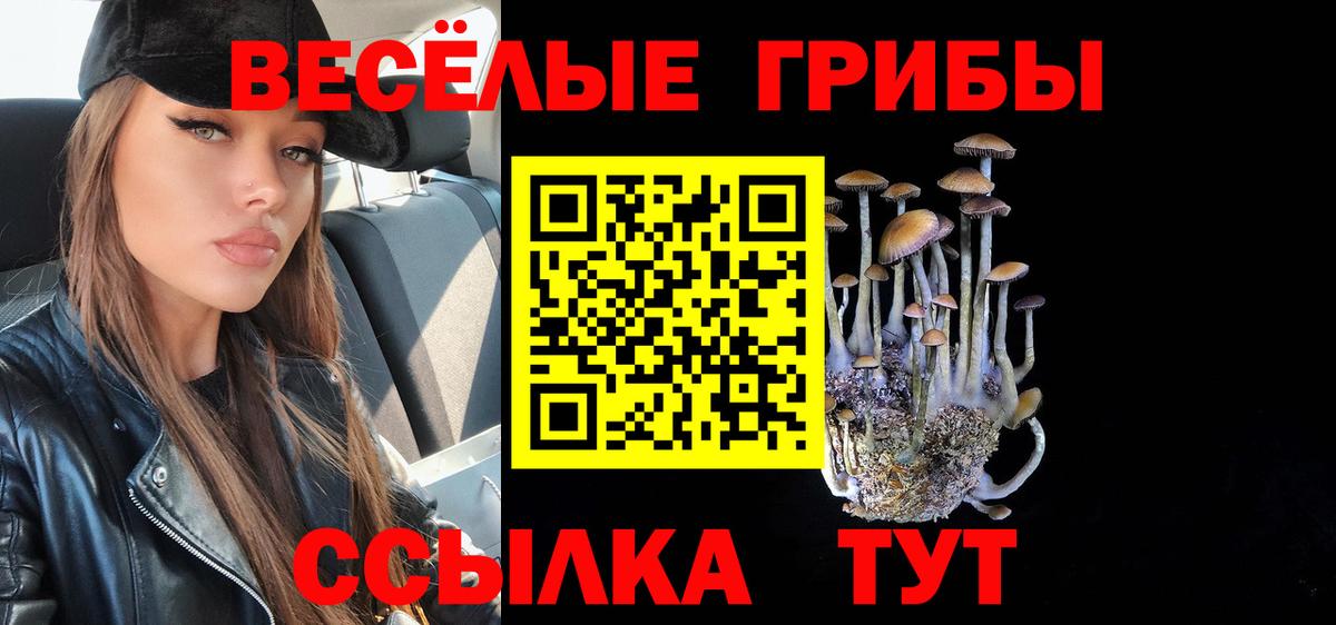 Псилоцибиновые грибы ЛСД  Галлюциногенные грибы Magic Shrooms  Аргун 