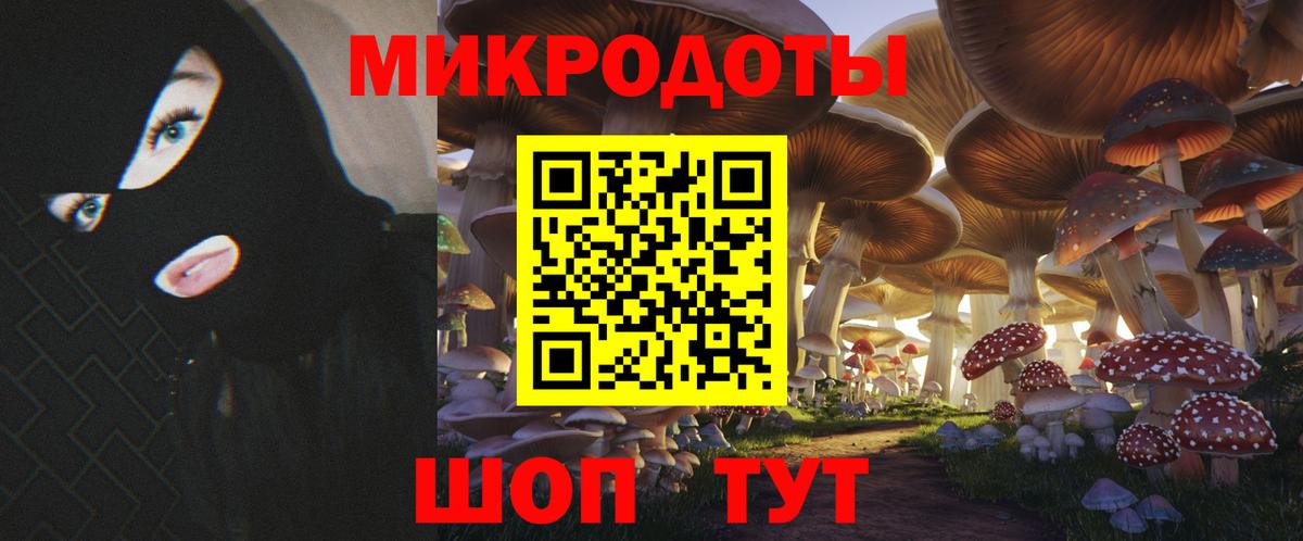 Галлюциногенные грибы Psilocybe Аргун