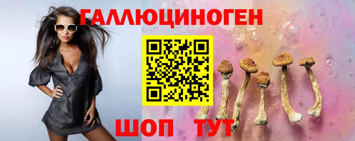 Псилоцибиновые грибы GOLDEN TEACHER  Вход с VPN  Псилоцибиновые грибы мицелий  Аргун 