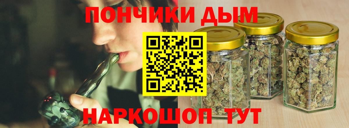 Канабис конопля Аргун